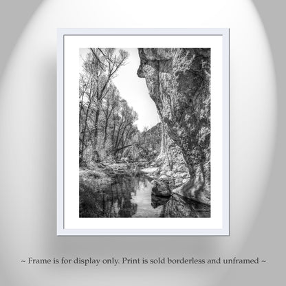 Western Canyon Creek Desert Oasis Black and White Art Print