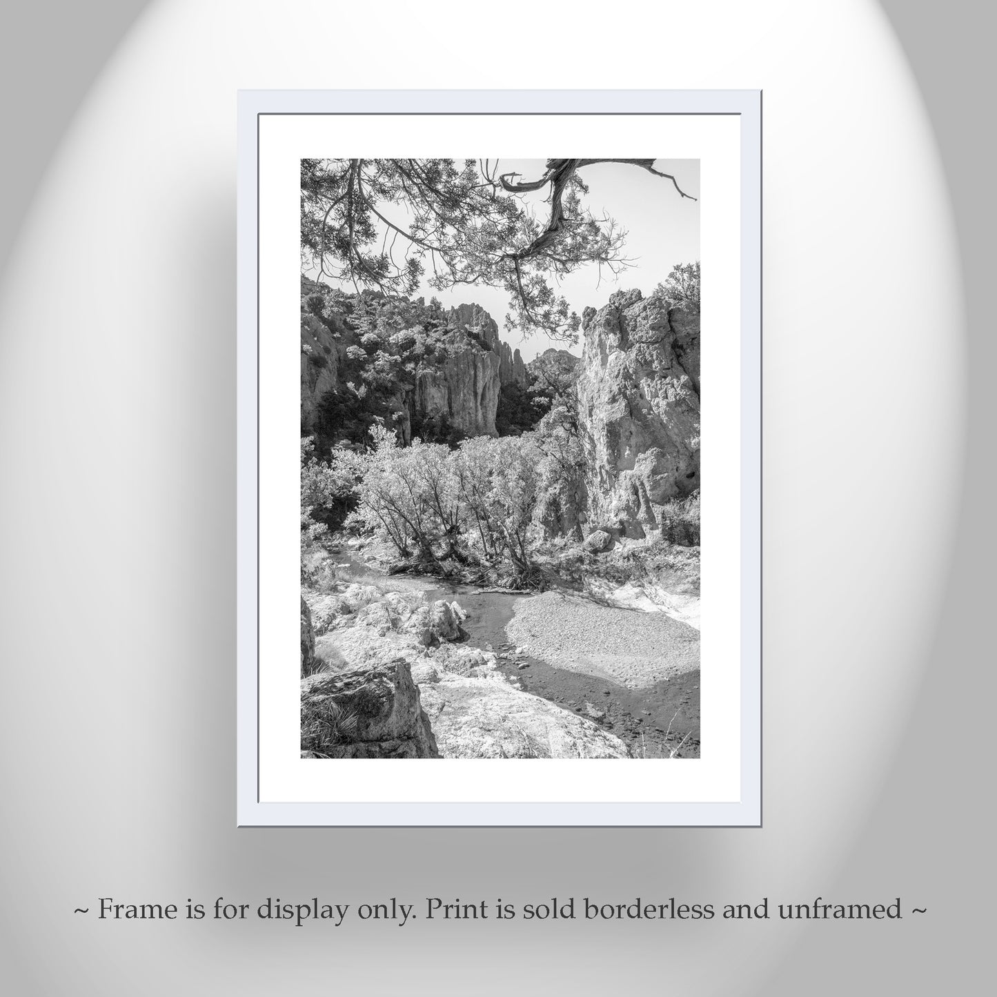 Black and White Tucson Arizona Desert Wilderness Canyon Photo