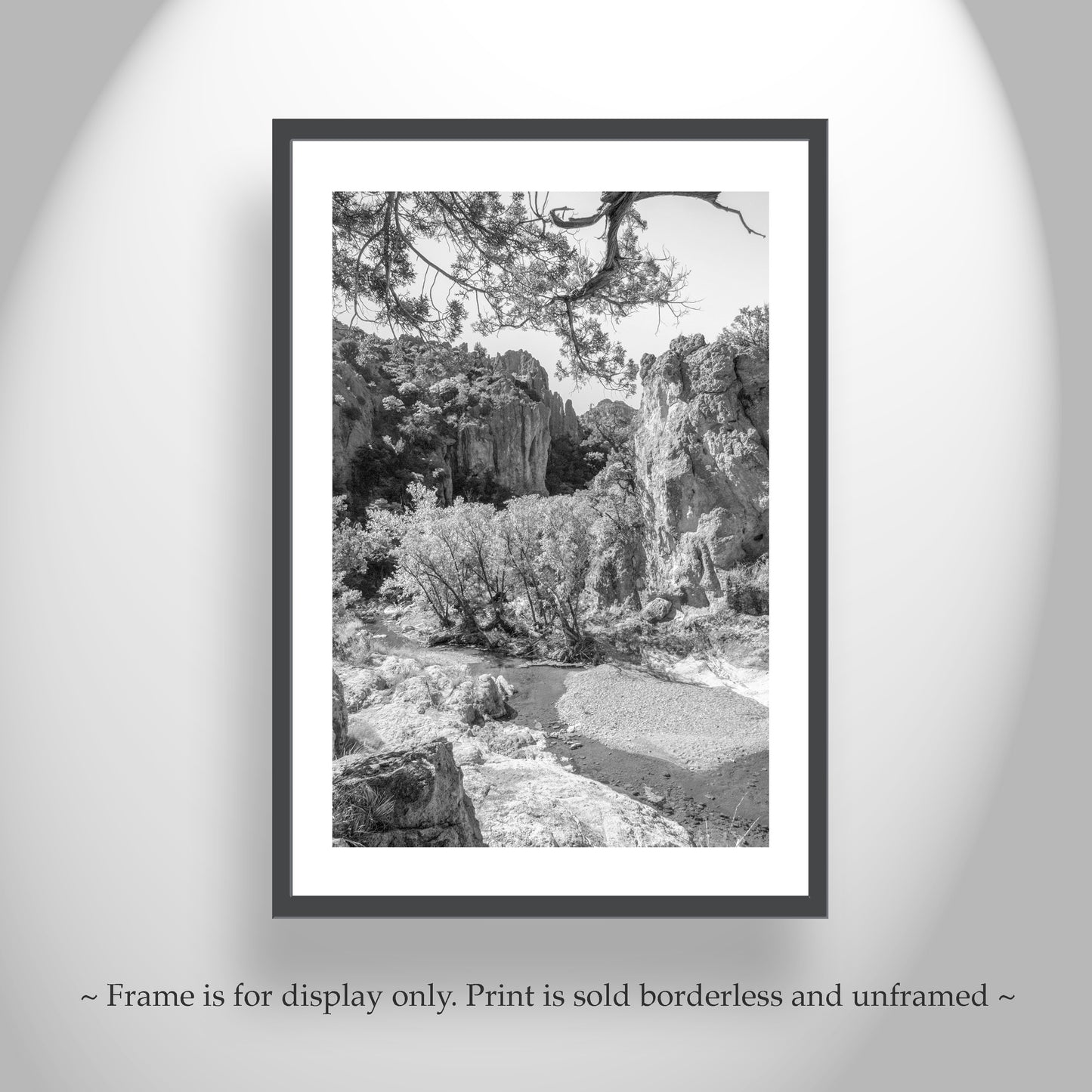 Black and White Tucson Arizona Desert Wilderness Canyon Photo