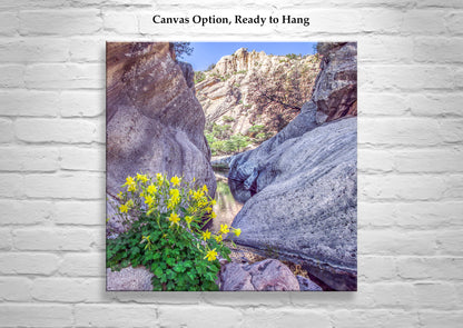 Arizona Desert Canyon Oasis Fine Art Photography Print