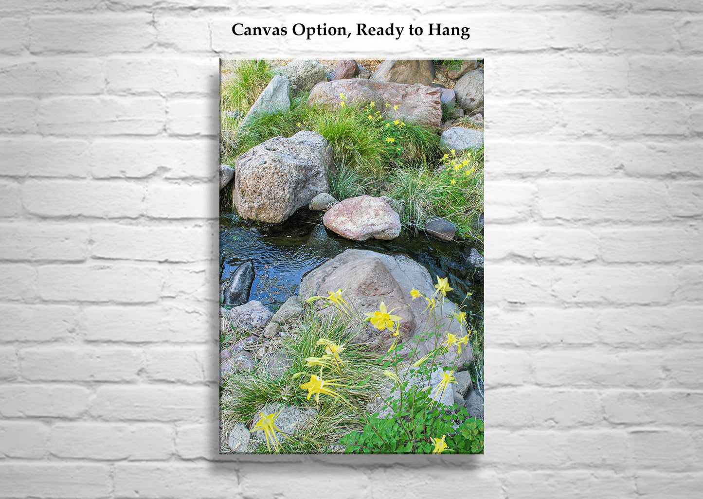 Wildflower Print in Desert Canyon Stream | Peaceful Nature Art