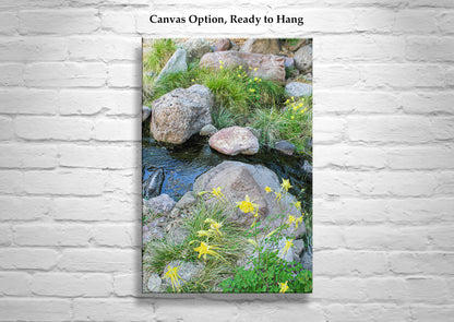 Wildflower Print in Desert Canyon Stream | Peaceful Nature Art