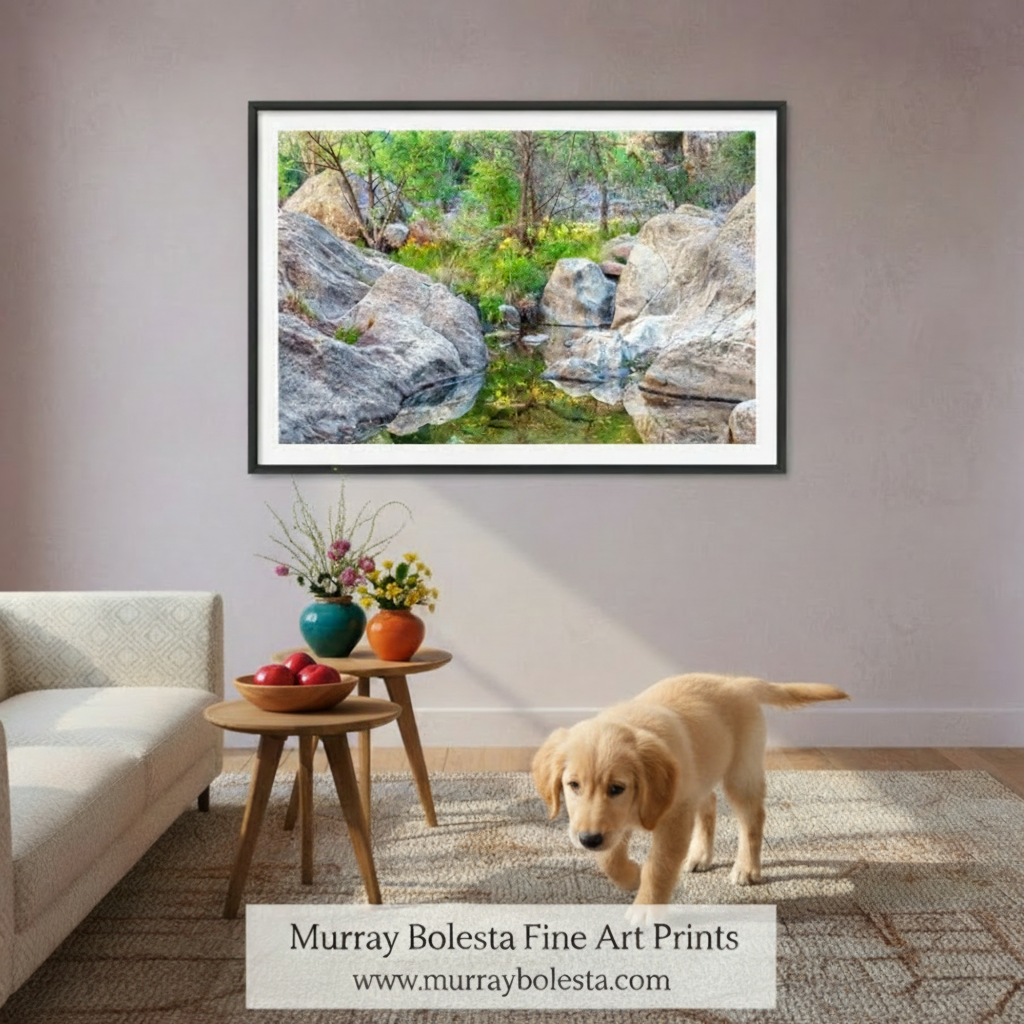 Desert Oasis Canyon Wildflowers | Fine Art Nature Print Tucson Arizona by Murray Bolesta