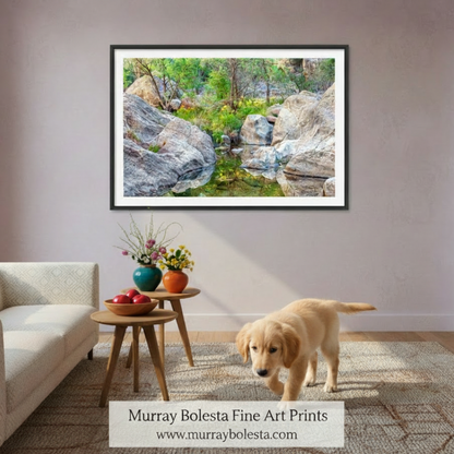 Desert Oasis Canyon Wildflowers | Fine Art Nature Print Tucson Arizona by Murray Bolesta