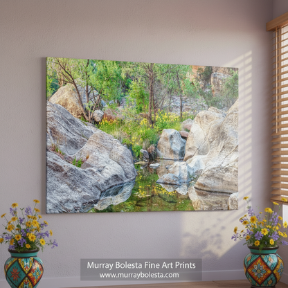 Desert Oasis Canyon Wildflowers | Fine Art Nature Print Tucson Arizona by Murray Bolesta
