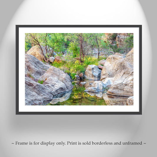 Desert Oasis Canyon Creek Wildflowers as Fine Art Nature Print
