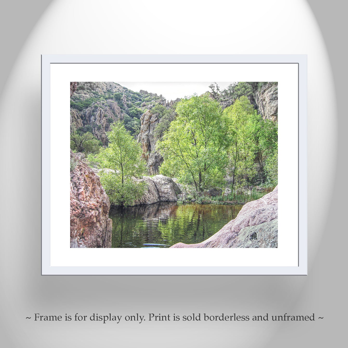 Southern Arizona Desert Canyon Oasis Landscape Wall Art Print
