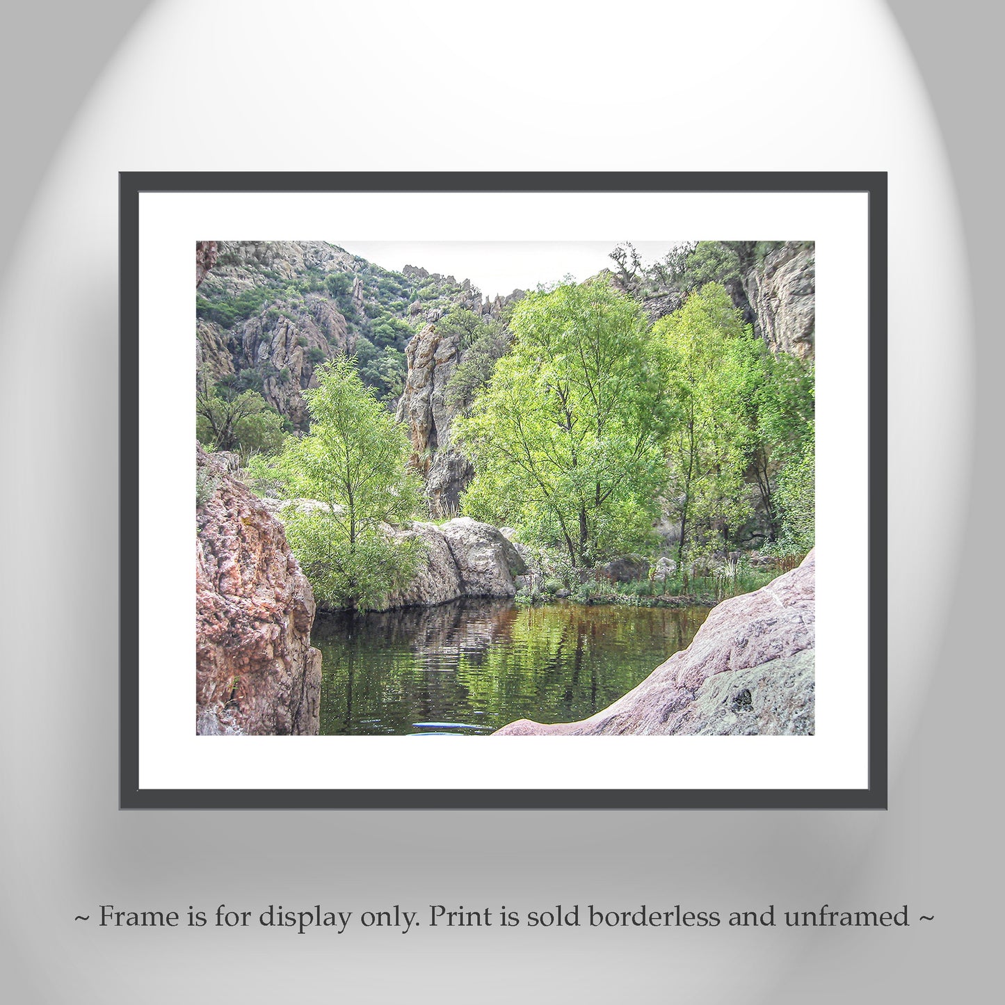 Southern Arizona Desert Canyon Oasis Landscape Wall Art Print