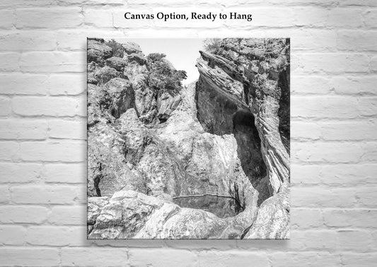 Arizona Desert Canyon Pool Art in Black and White on Square Print