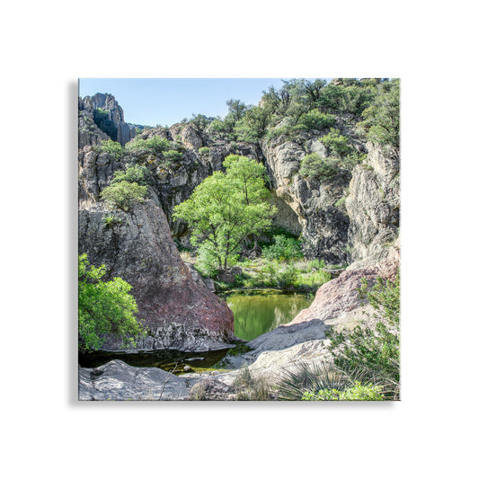 Mexico Border Arizona Desert Canyon Landscape Photo Art Print