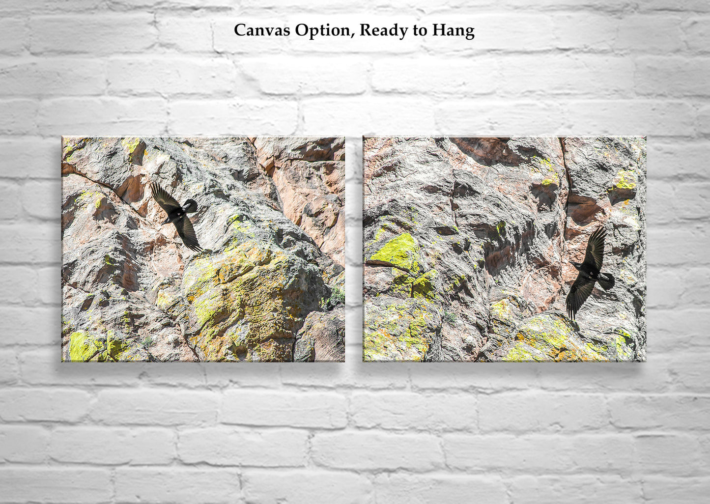 Raven Bird in Flight Photography Set of 2 Art Prints