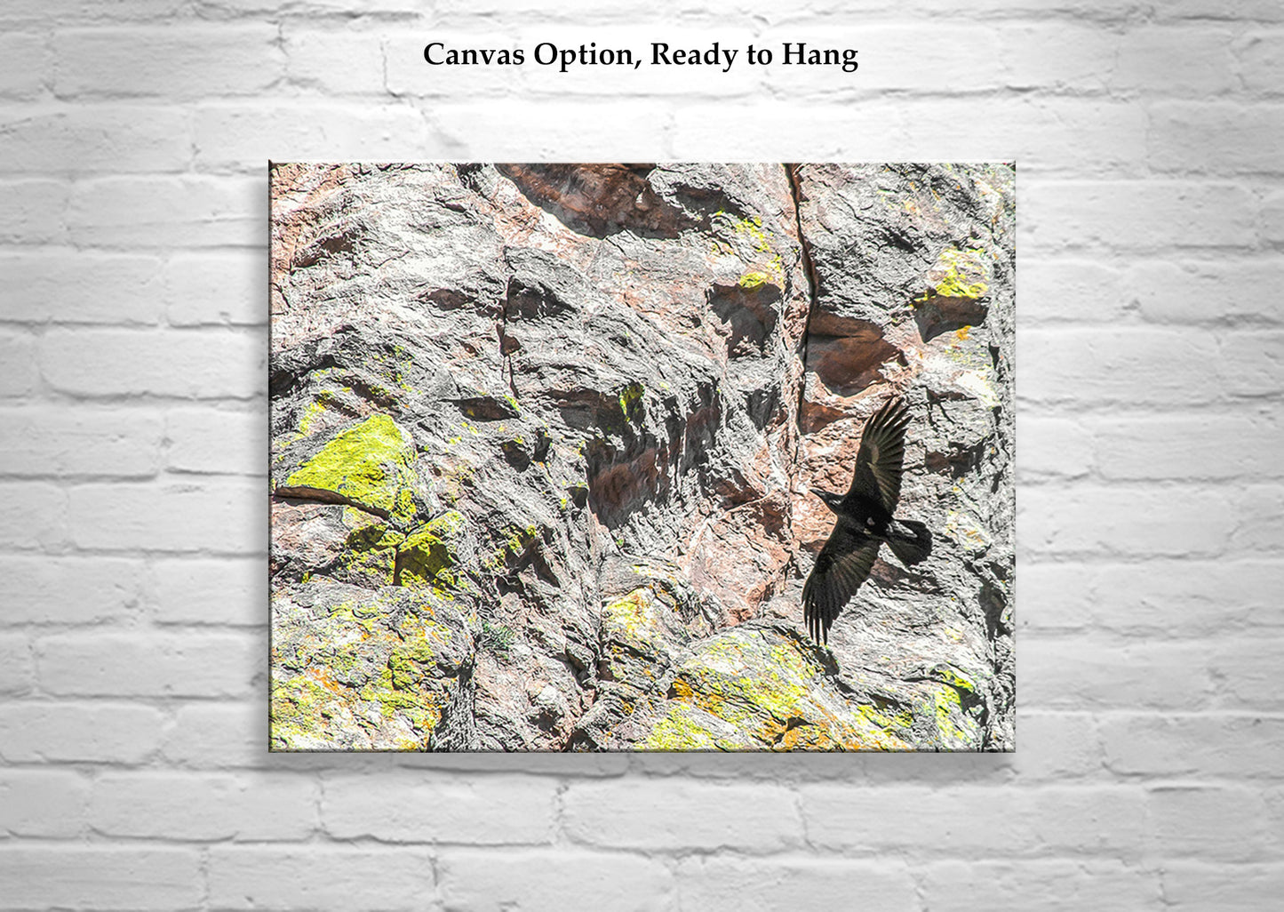 Raven Bird in Flight Photo Art Prints Set of 2 Diptych