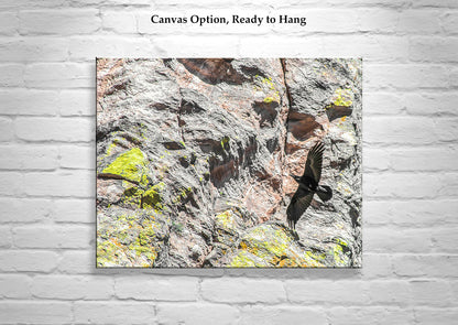 Raven Bird in Flight Photo Art Prints Set of 2 Diptych