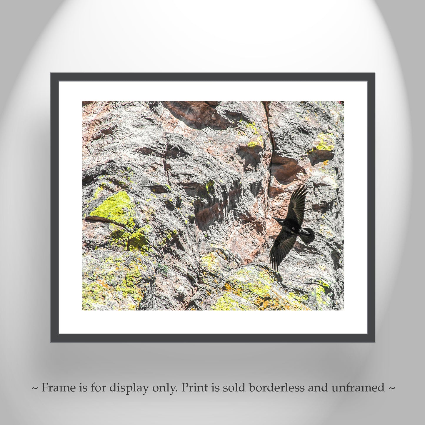 Raven Bird in Flight Photography Set of 2 Art Prints