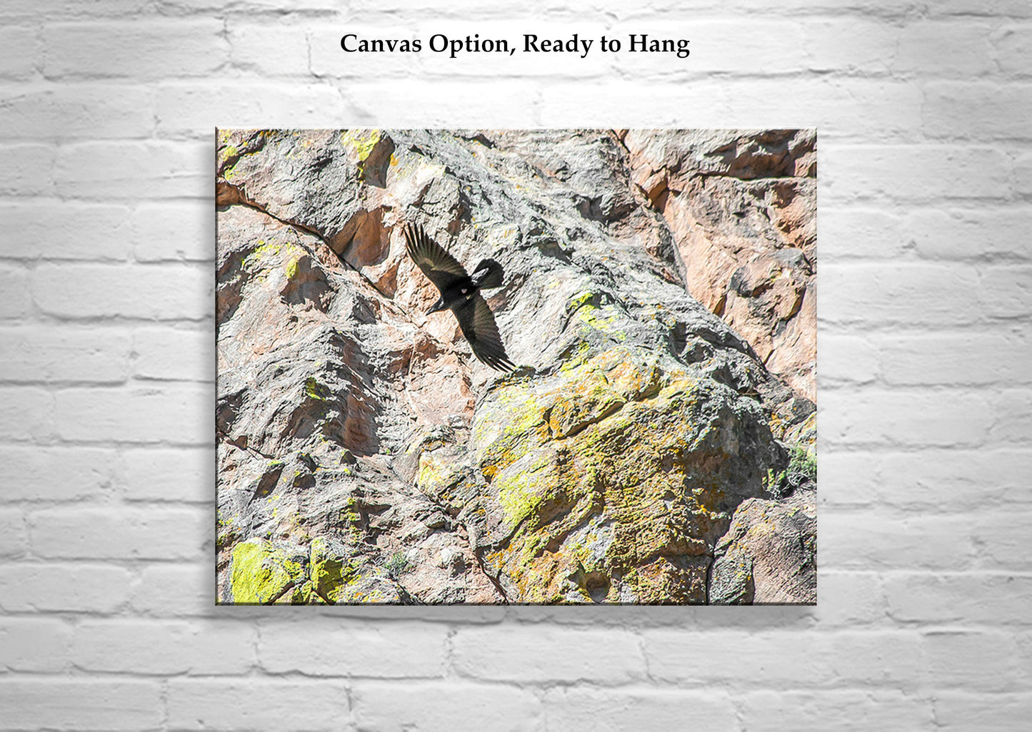 Raven Bird in Flight Photo Art Prints Set of 2 Diptych