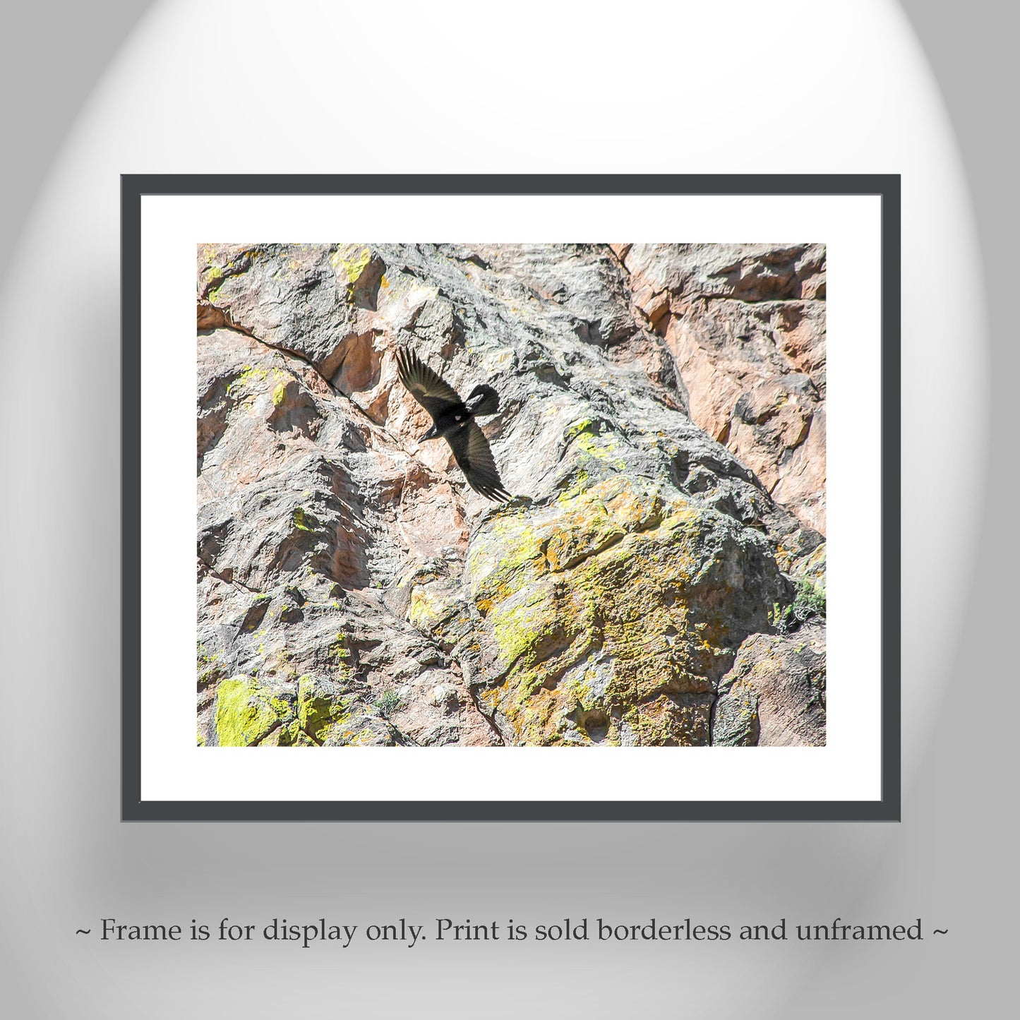 Raven Bird in Flight Photography Set of 2 Art Prints