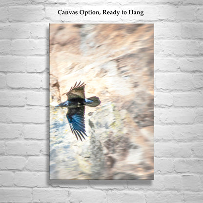 Raven Bird Art Photography Print in Arizona Desert Canyon | Tucson Desert Bird Art Gift