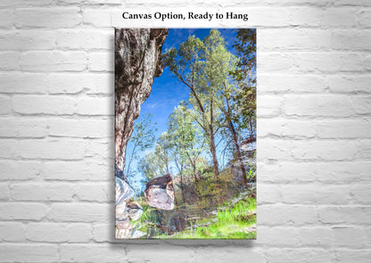 Arizona Canyon Creek Oasis Wall Art | Abstract Water Reflection Print