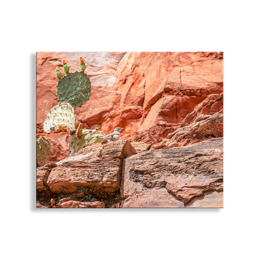 Desert Canyon Rock Wren Bird Art | Southwestern Wall Decor
