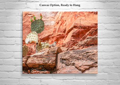 Desert Canyon Rock Wren Bird Art | Southwestern Wall Decor