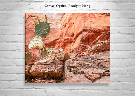 Desert Canyon Rock Wren Bird Art | Southwestern Wall Decor