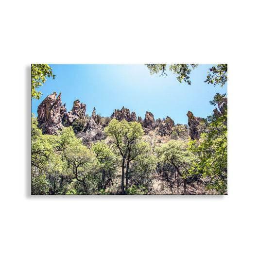 Arizona Mexico Border Desert Canyon Fine Art Print