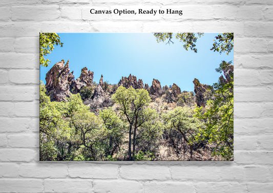 Arizona Mexico Border Desert Canyon Fine Art Print