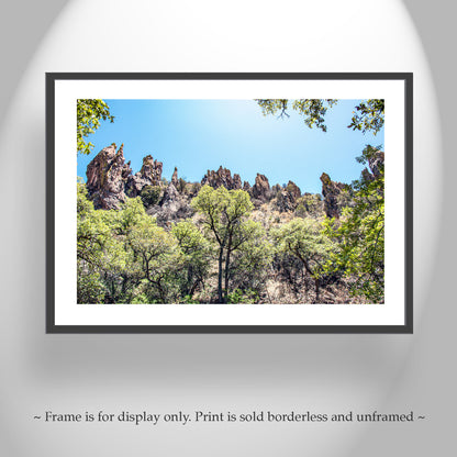 Arizona Mexico Border Desert Canyon Fine Art Print