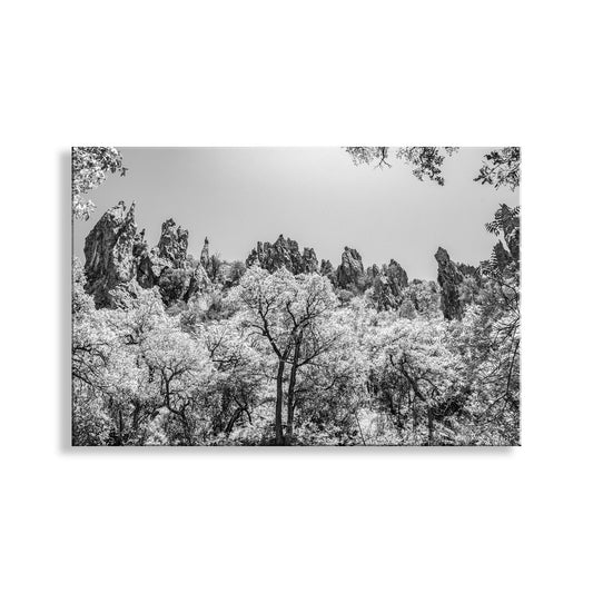 Arizona Mexico Border Desert Canyon Black and White Fine Art Print