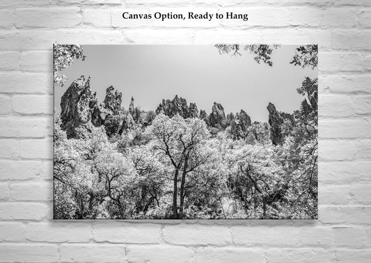 Arizona Mexico Border Desert Canyon Black and White Fine Art Print