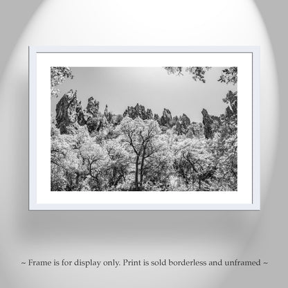 Arizona Mexico Border Desert Canyon Black and White Fine Art Print