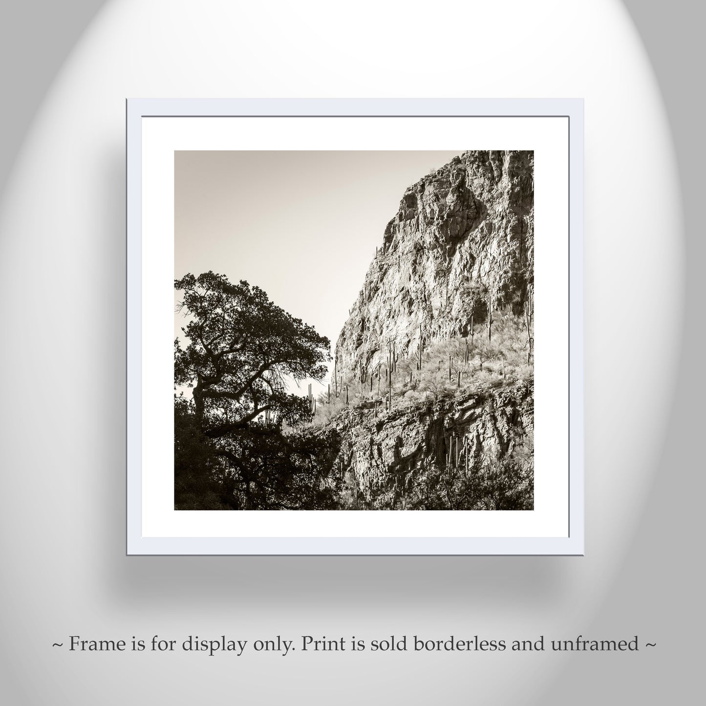 Tucson Santa Catalina Mountains Landscape | Esperanza Canyon Picture