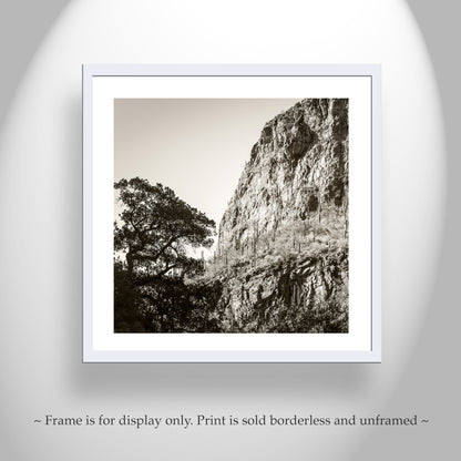 Tucson Santa Catalina Mountains Landscape | Esperanza Canyon Picture