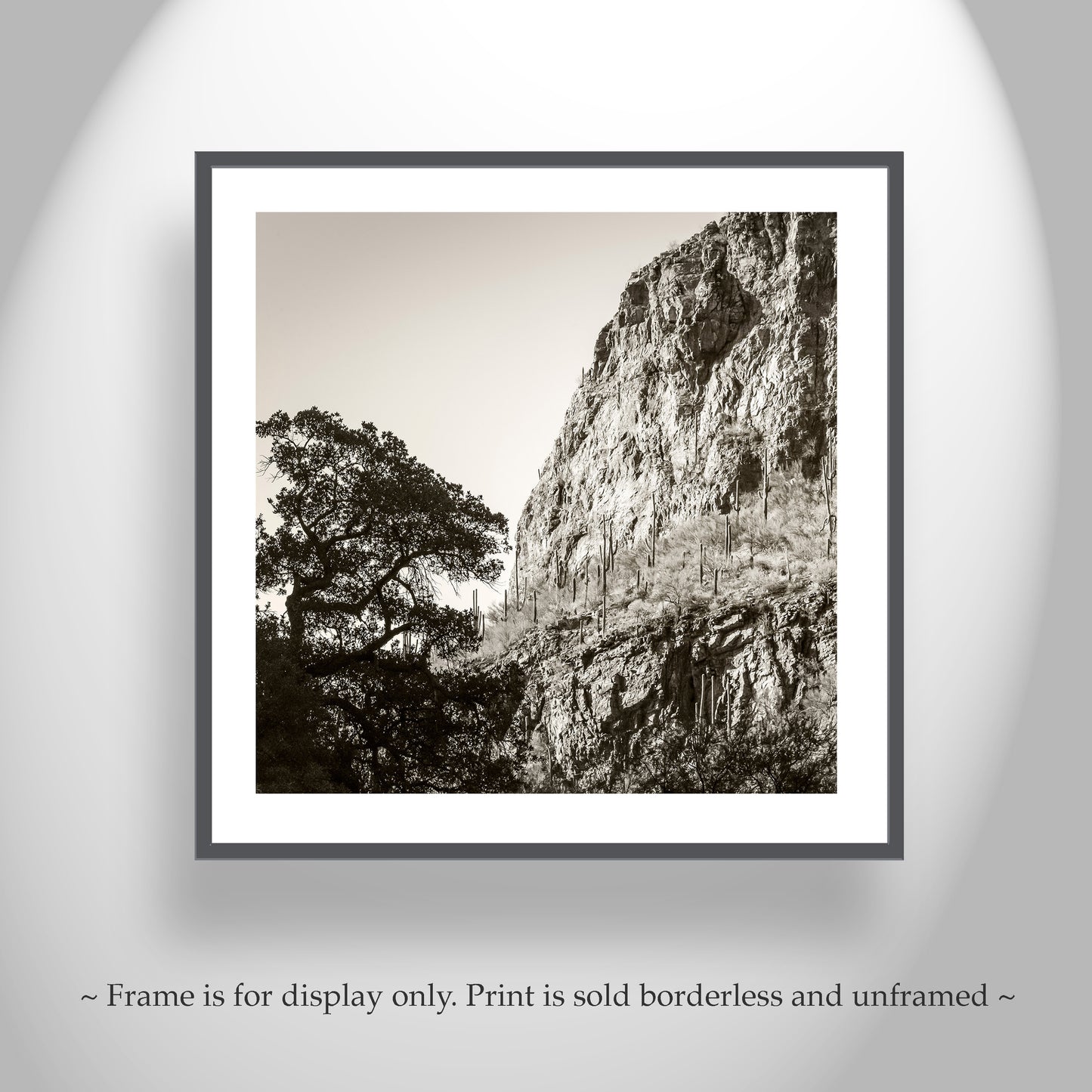Tucson Santa Catalina Mountains Landscape | Esperanza Canyon Picture