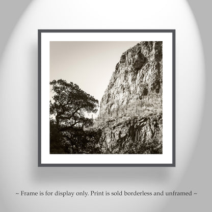 Tucson Santa Catalina Mountains Landscape | Esperanza Canyon Picture