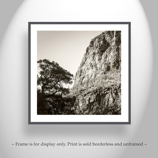 Tucson Santa Catalina Mountains Landscape | Esperanza Canyon Picture