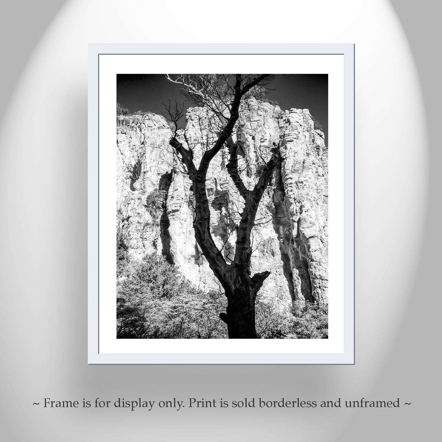 Framed black and white print of a tree against a rocky cliff face. Cool canyon art from southern Arizona USA! One of my fave styles with the silhouette of a spent sycamore tree against the brilliant cliffs of a Pajarita Wilderness canyon on the Mexico border. Original, unique signed art by Murray Bolesta!