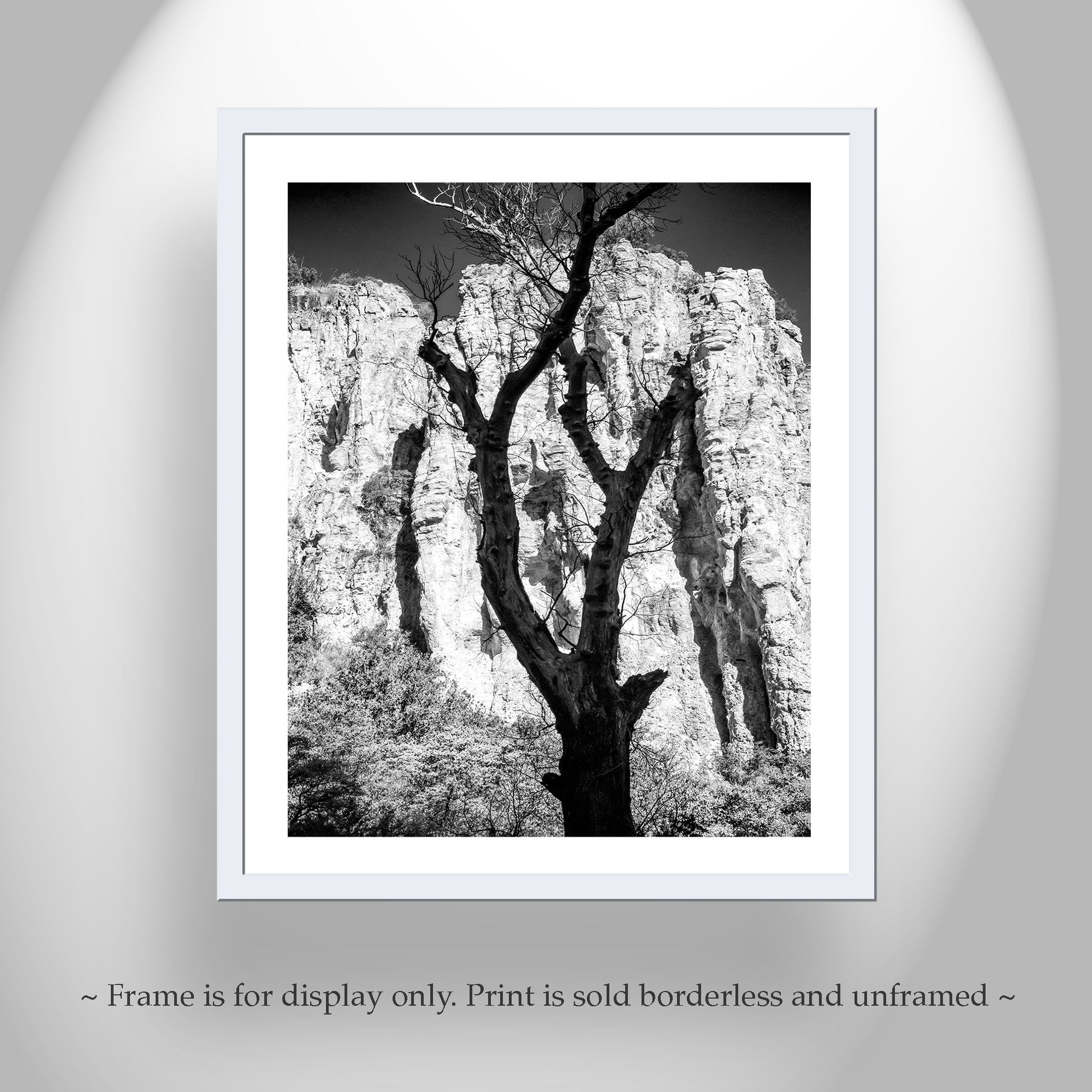 Framed black and white print of a tree against a rocky cliff face. Cool canyon art from southern Arizona USA! One of my fave styles with the silhouette of a spent sycamore tree against the brilliant cliffs of a Pajarita Wilderness canyon on the Mexico border. Original, unique signed art by Murray Bolesta!
