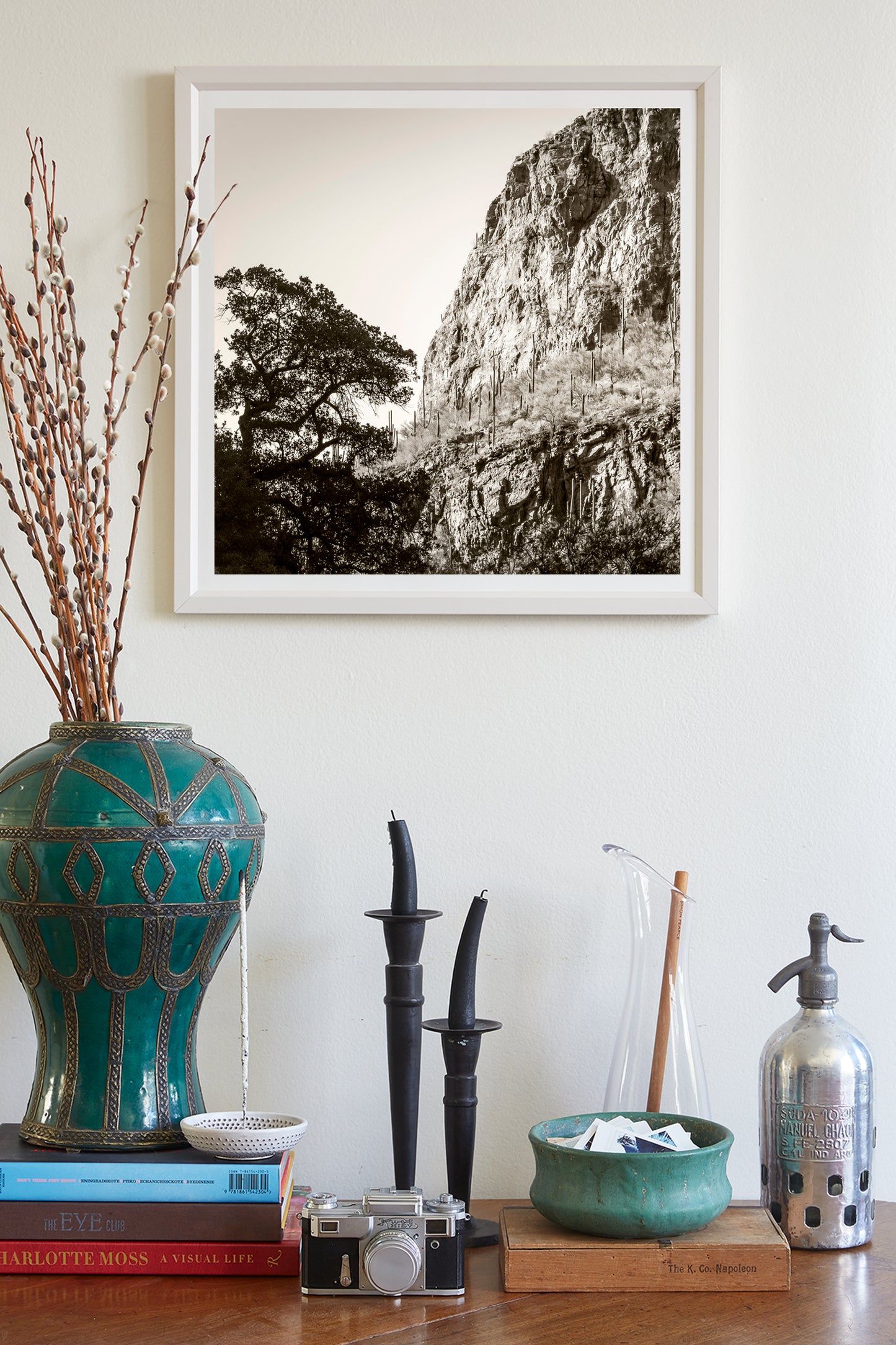 Tucson Santa Catalina Mountains Landscape | Esperanza Canyon Picture