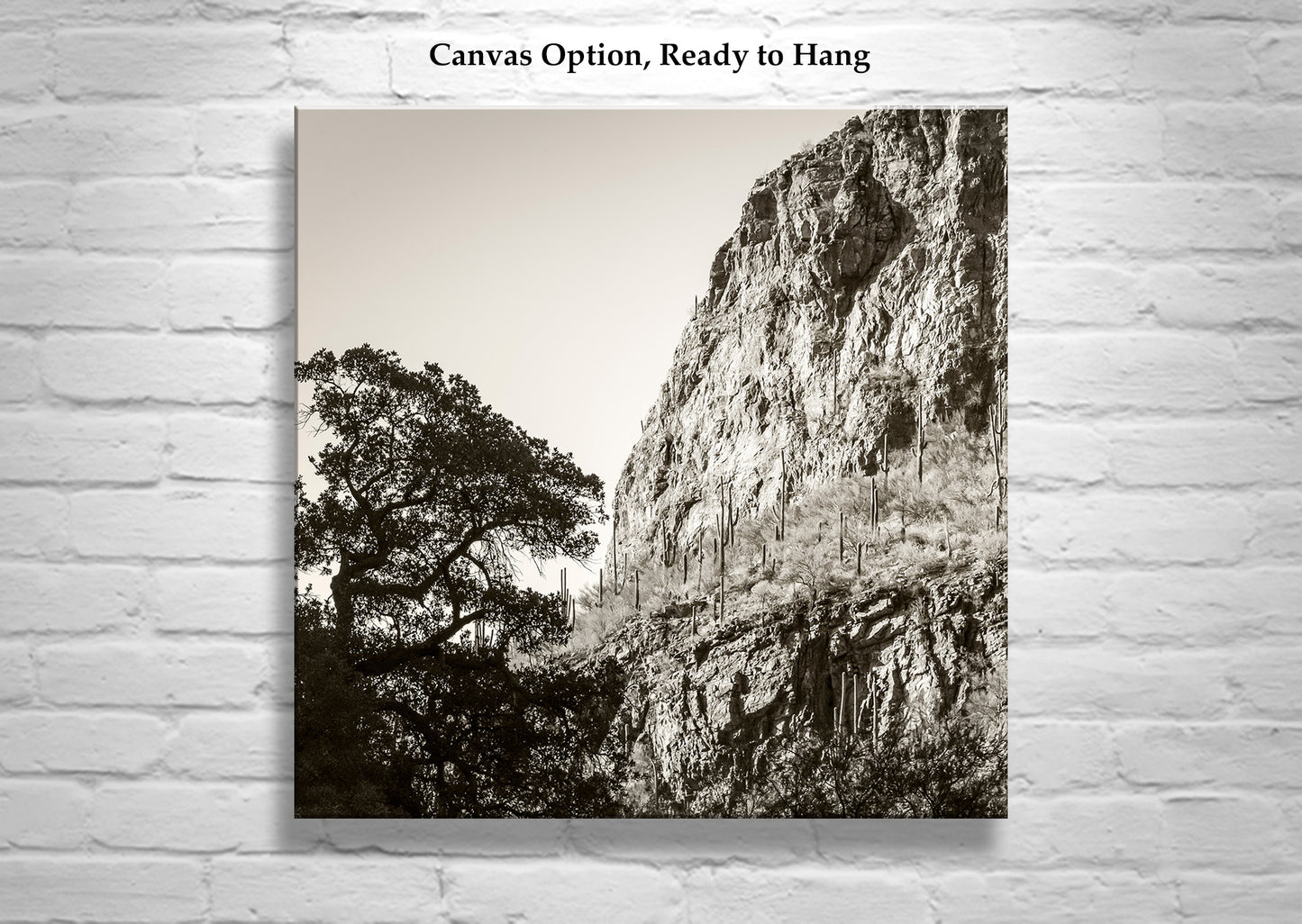 Tucson Santa Catalina Mountains Landscape | Esperanza Canyon Picture