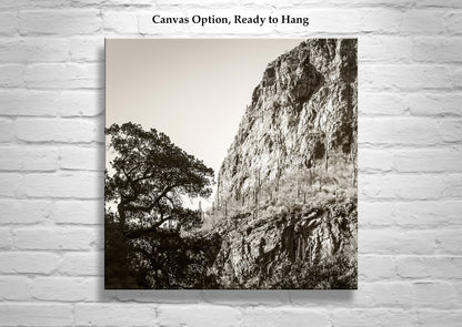 Tucson Santa Catalina Mountains Landscape | Esperanza Canyon Picture