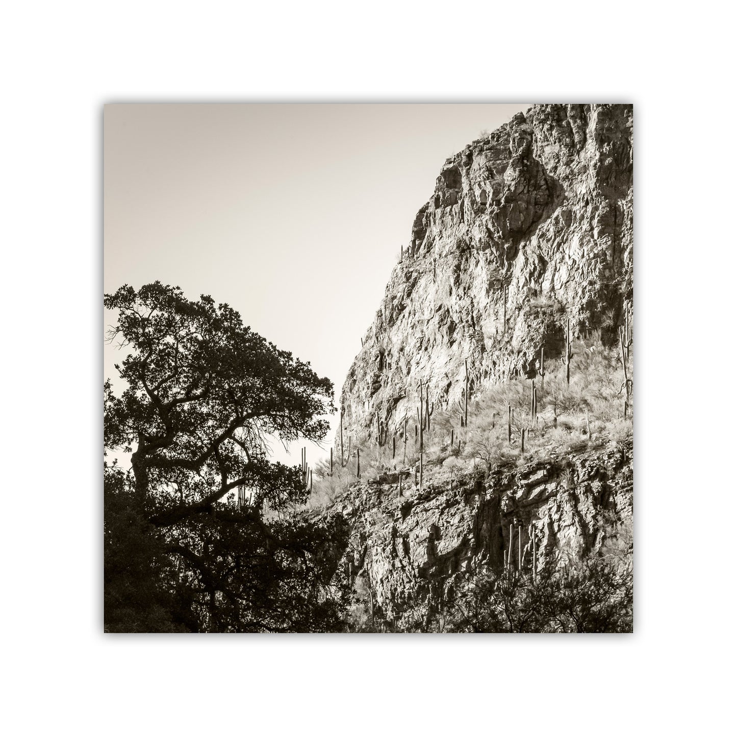 Tucson Santa Catalina Mountains Landscape | Esperanza Canyon Picture