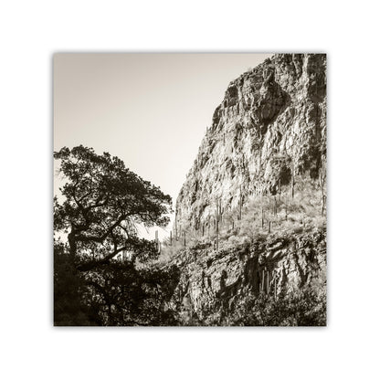 Tucson Santa Catalina Mountains Landscape | Esperanza Canyon Picture