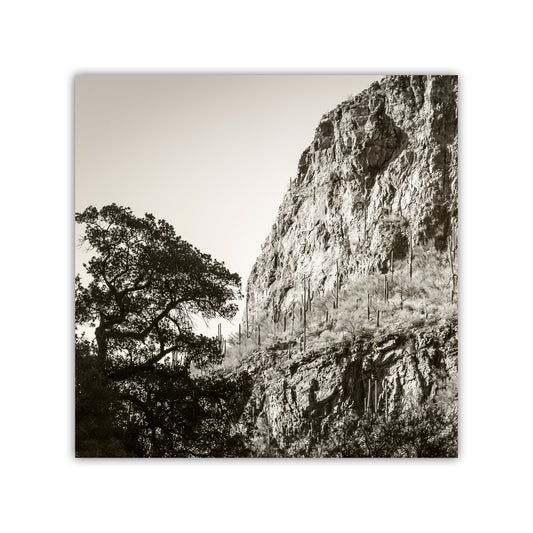 Tucson Santa Catalina Mountains Landscape | Esperanza Canyon Picture