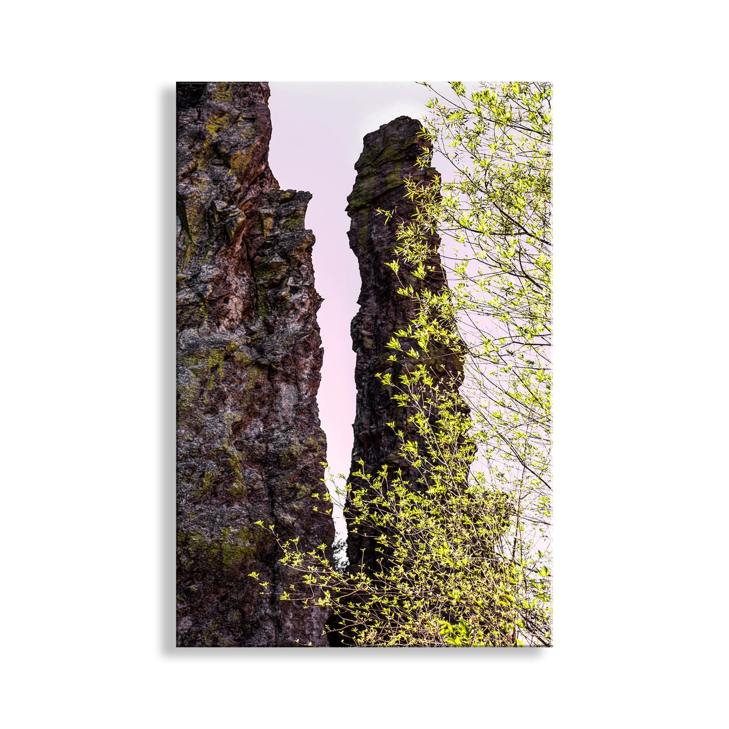 Two tall rock formations with greenery against a light purple sky. Mexico Border Wilderness Landscape Artwork with Desert Canyon Spire