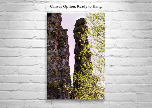 Mexico Border Wilderness Landscape Artwork with Desert Canyon