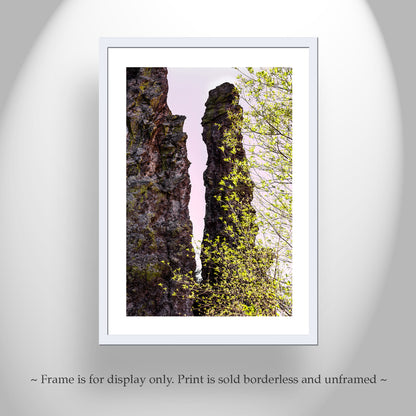 Mexico Border Wilderness Landscape Artwork with Desert Canyon