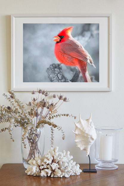 Red Cardinal in Winter Artwork as Home Decor for Bird Lovers