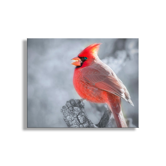 Red Cardinal in Winter Artwork as Home Decor for Bird Lovers