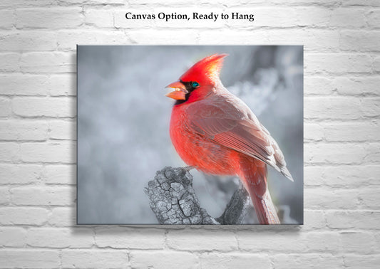 Red Cardinal in Winter Artwork as Home Decor for Bird Lovers